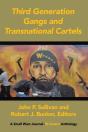 Third Generation Gangs  And Transnational Cartels - Preview