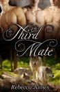 Third Mate - Preview
