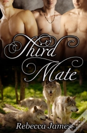 Capa do artigo Third Mate