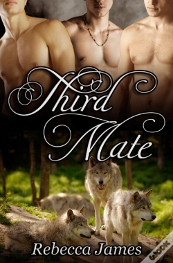 Capa do artigo Third Mate