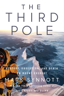 Capa do artigo Third Pole