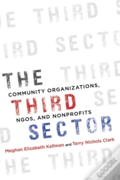 Capa do artigo Third Sector