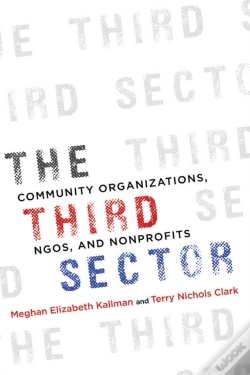 Capa do artigo Third Sector