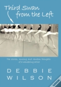 Capa do artigo Third Swan From The Left