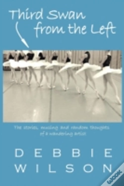 Capa do artigo Third Swan From The Left