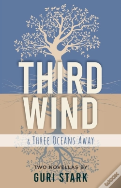 Capa do artigo Third Wind