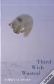 Capa do artigo Third Wish Wasted