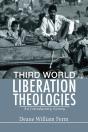 Third World Liberation Theologies - Preview