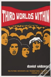 Capa do artigo Third Worlds Within
