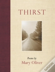 Capa do artigo Thirst