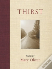 Capa do artigo Thirst