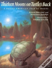 Capa do artigo Thirteen Moons On Turtle