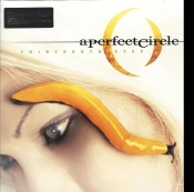 Capa do artigo Thirteenth Step - Vinil