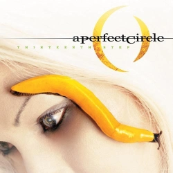Capa do artigo Thirteenth Step - Vinil