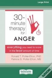 Capa do artigo Thirty-Minute Therapy For Anger