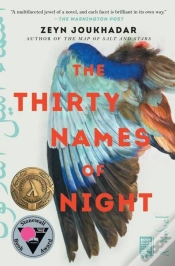 Capa do artigo Thirty Names Of Night
