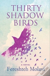 Capa do artigo Thirty Shadow Birds