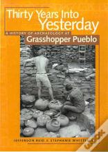Thirty Years Into Yesterday