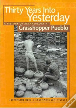 Capa do artigo Thirty Years Into Yesterday