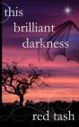 This Brilliant Darkness - Preview