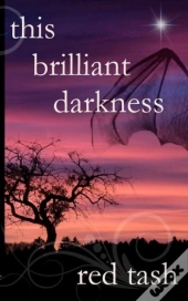 This Brilliant Darkness