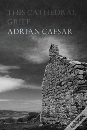 Capa do artigo This Cathedral Grief