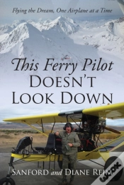 Capa do artigo This Ferry Pilot Doesn
