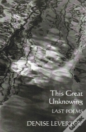 Capa do artigo This Great Unknowing