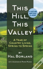 Capa do artigo This Hill, This Valley