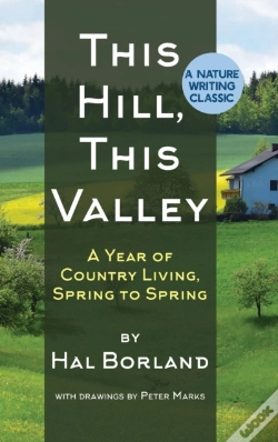 Capa do artigo This Hill, This Valley