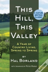 This Hill, This Valley