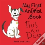 Capa do artigo This Is A Dog