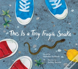 Capa do artigo This Is A Tiny Fragile Snake