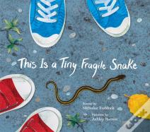 This Is A Tiny Fragile Snake