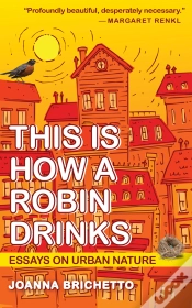 Capa do artigo This Is How A Robin Drinks