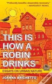 Capa do artigo This Is How A Robin Drinks