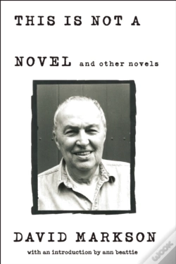 Capa do artigo This Is Not A Novel And Other Novels