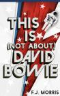 This Is (Not About) David Bowie - Preview