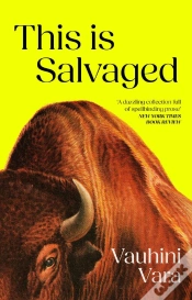 Capa do artigo This Is Salvaged