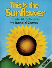 Capa do artigo This Is The Sunflower
