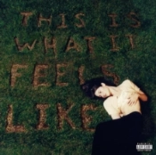 Capa do artigo This Is What It Feels Like - Vinil