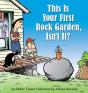 This Is Your First Rock Garden, Isn'T It? - Preview