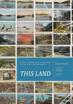 Capa do artigo This Land