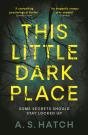 This Little Dark Place - Preview