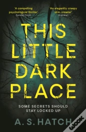 Capa do artigo This Little Dark Place