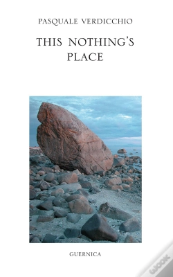 Capa do artigo This Nothings Place