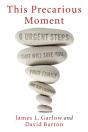This Precarious Moment - Preview