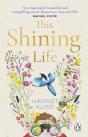 This Shining Life - Preview