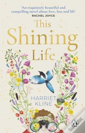Capa do artigo This Shining Life