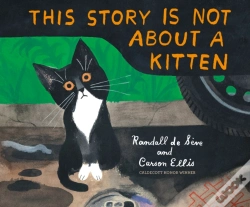 Capa do artigo This Story Is Not About A Kitten